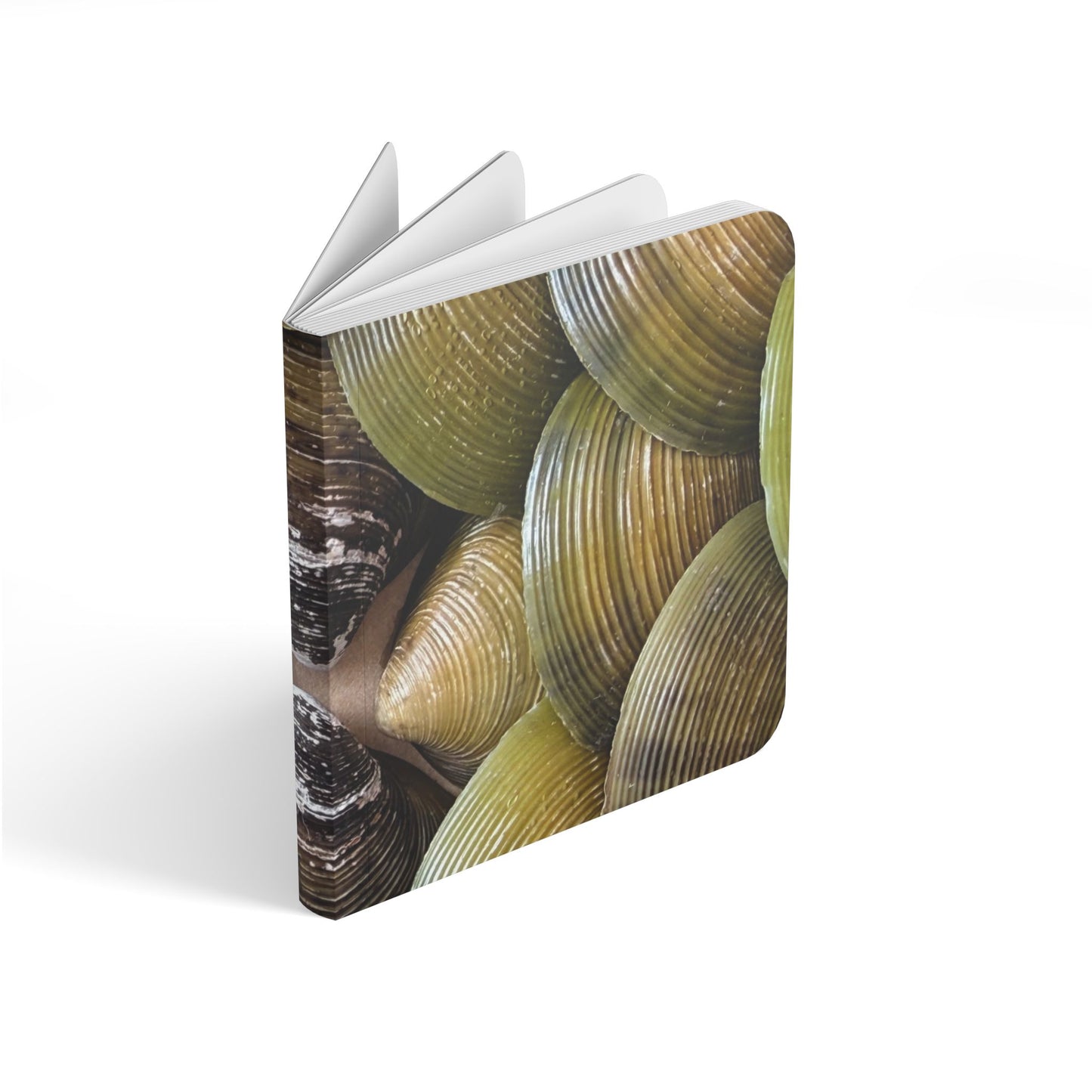 Seashell Pattern Baby Board Book — Tactile Ocean Theme for Infants