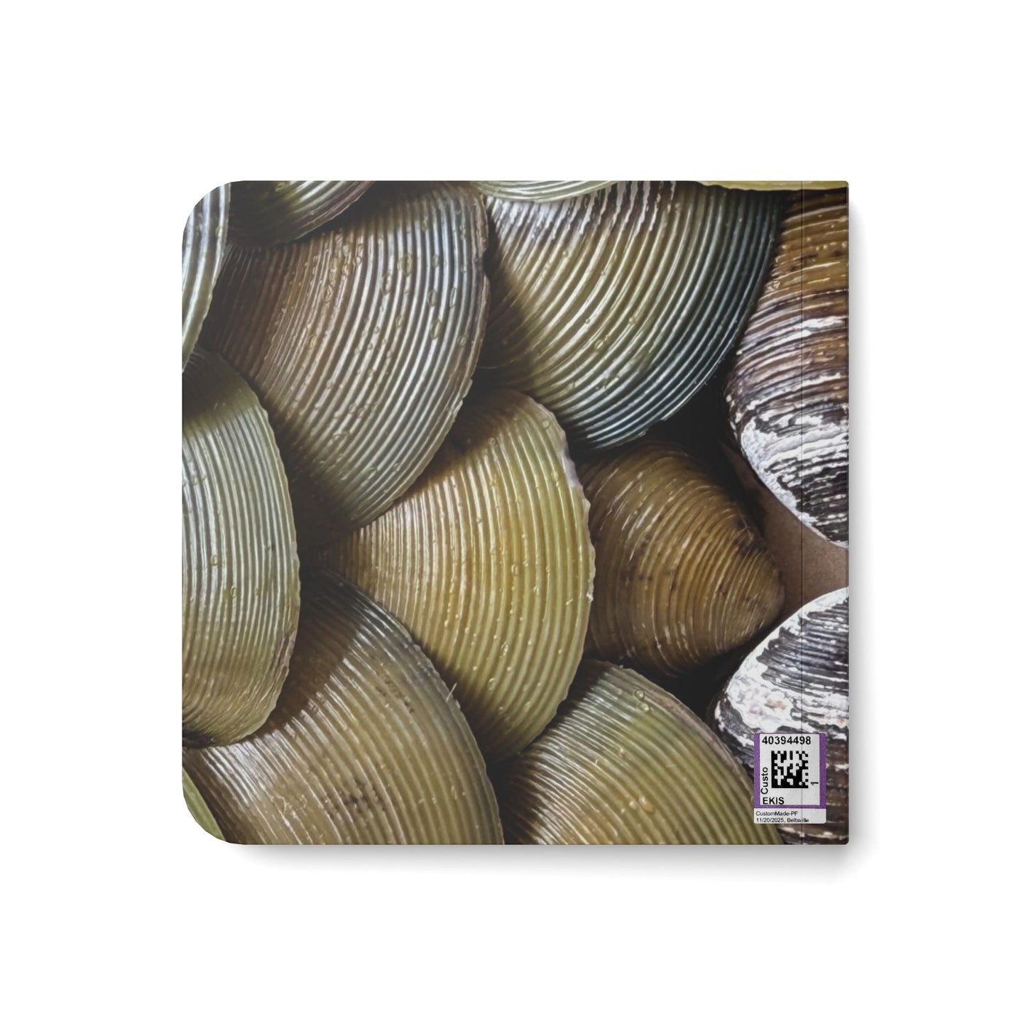 Seashell Pattern Baby Board Book — Tactile Ocean Theme for Infants
